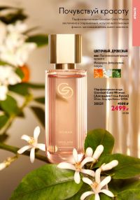 Смотреть следующий каталог Oriflame № 12 2025 года - Страница 55