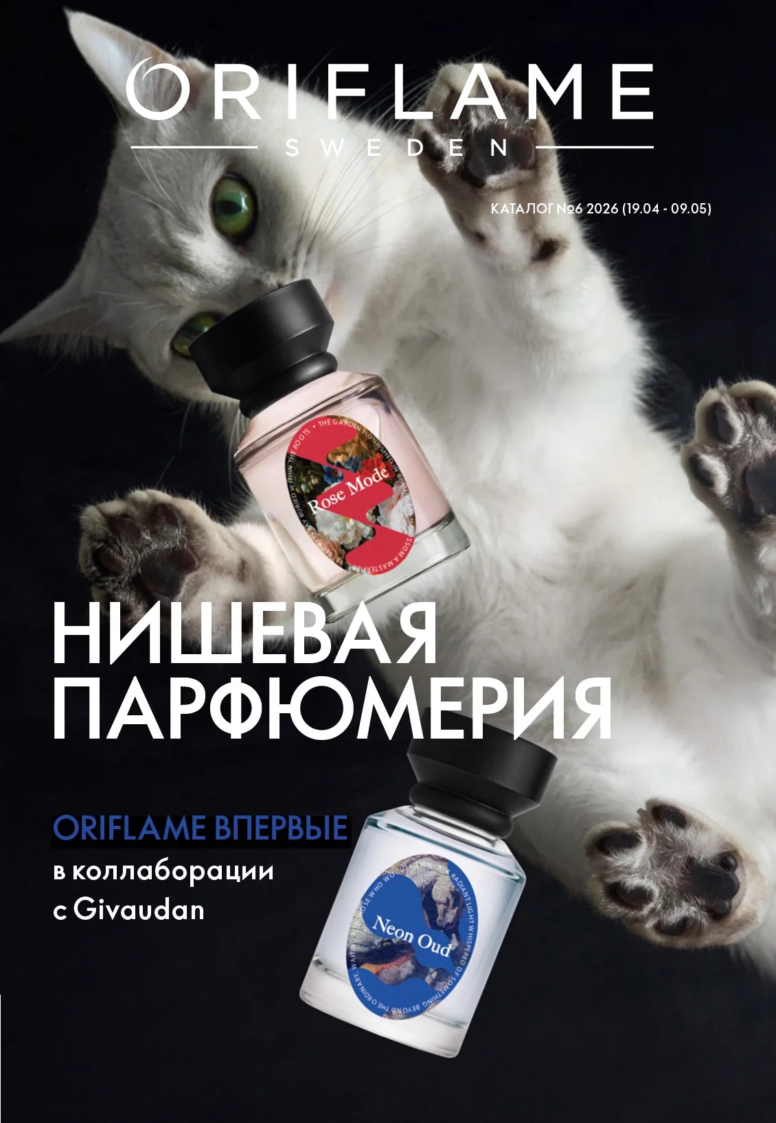Katalog №6 2026