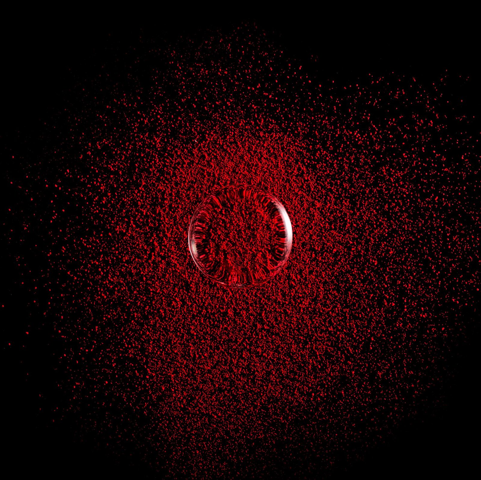 42324 Сатиновая губная помада Giordani Gold Iconic