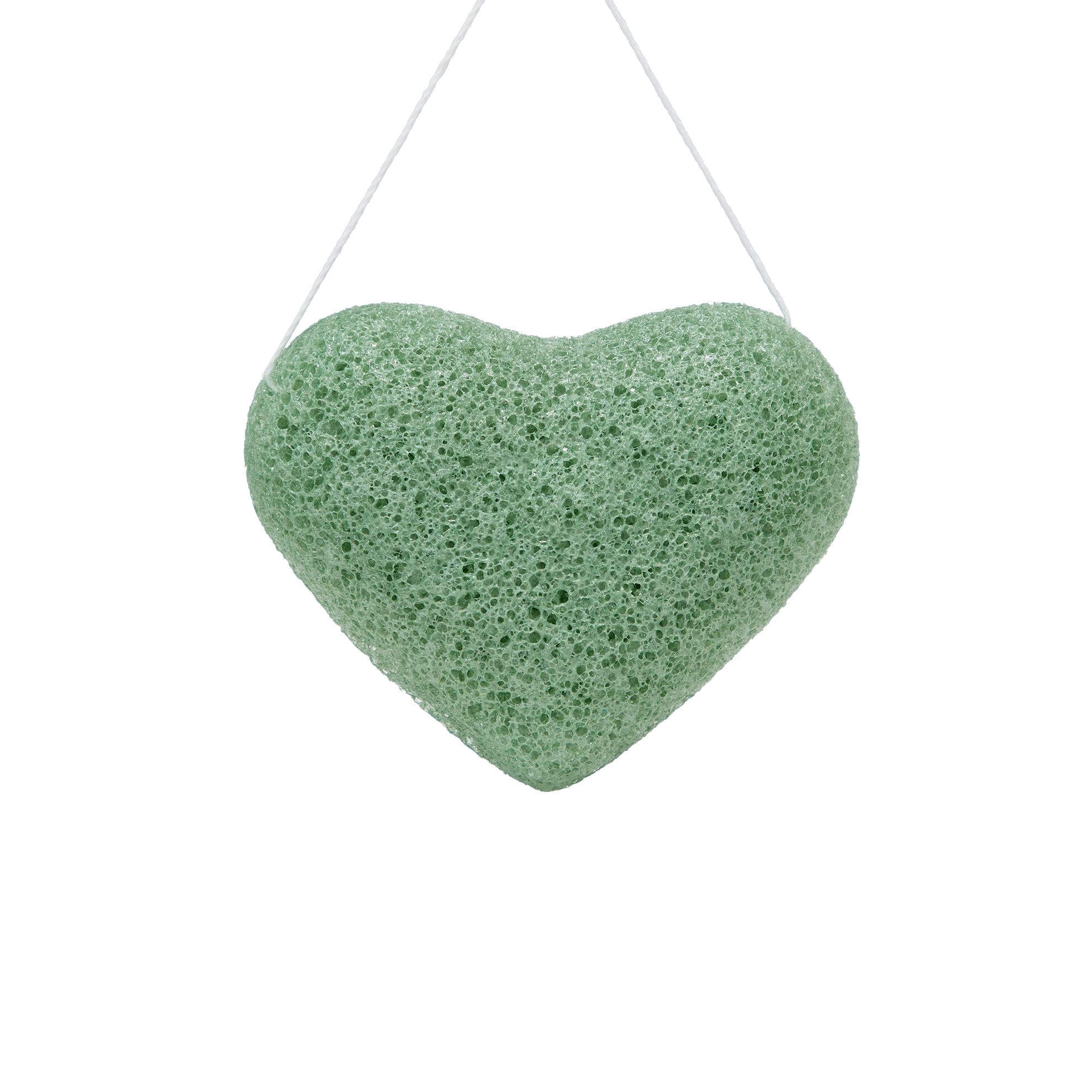 47880 Спонж конняку